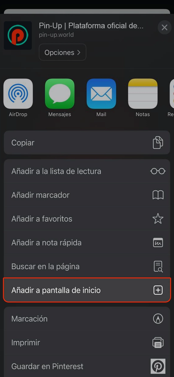 Haga clic en el botón para agregar la aplicación Pin-Up a la pantalla de inicio.