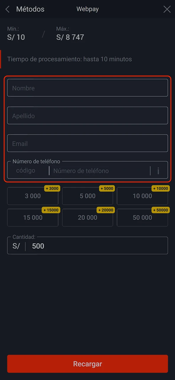 Introduzca los datos necesarios para realizar la transacción en Pin-Up.